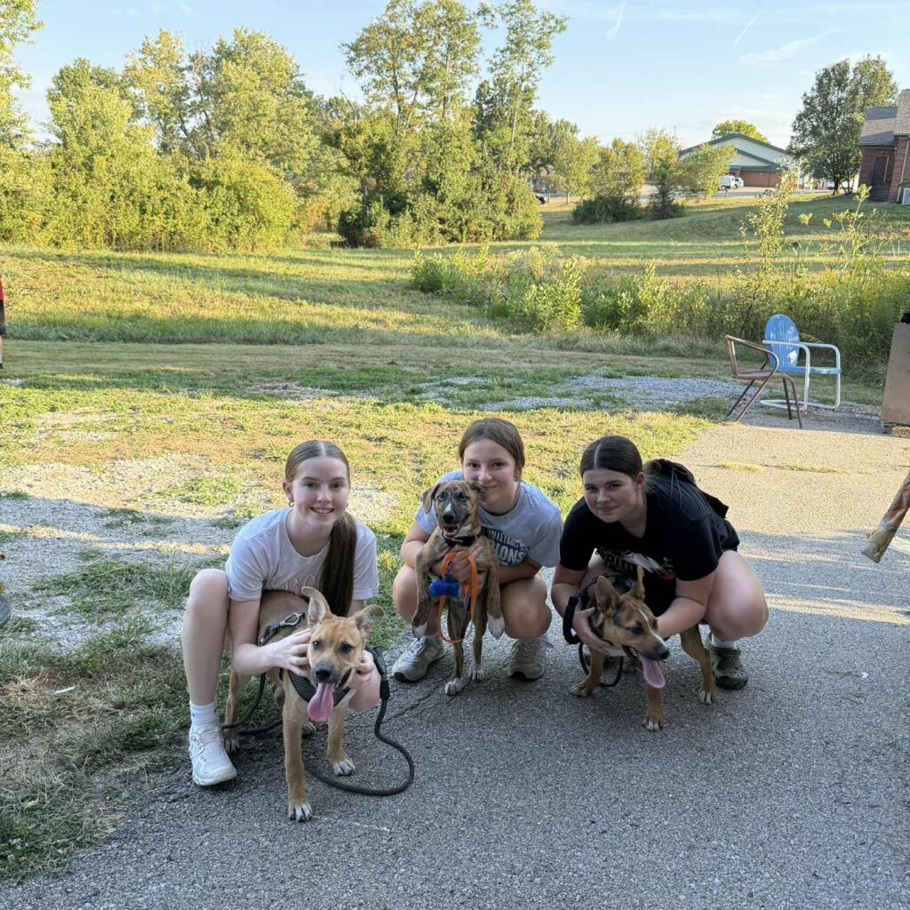 546409091_1110349541232160_5880494406141539380_n