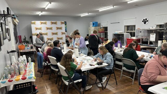 586361325_1164631402470640_1118216070919131582_n