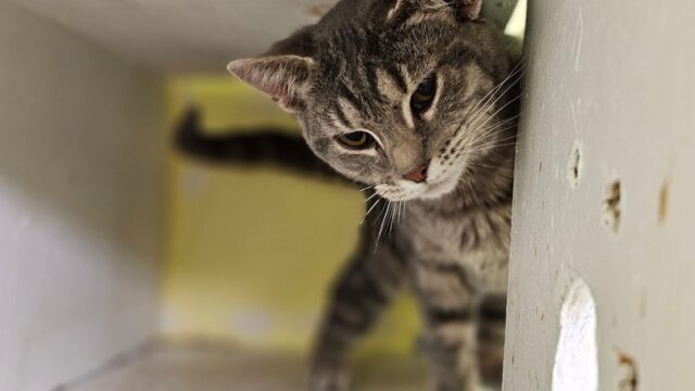 638531590_1231499095783870_1466545963592743708_n