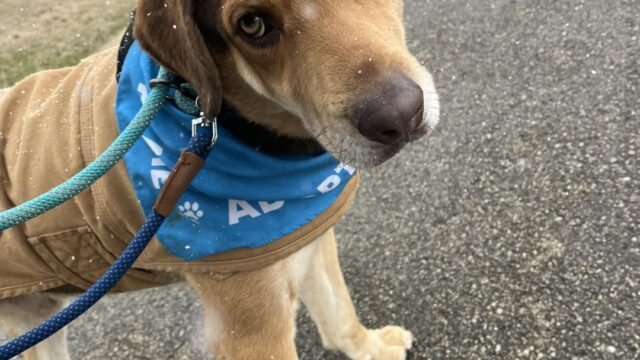 640482086_1235790312021415_4898575971609772984_n