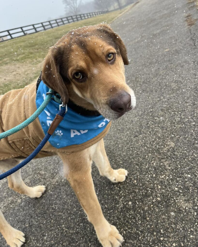 640482086_1235790312021415_4898575971609772984_n