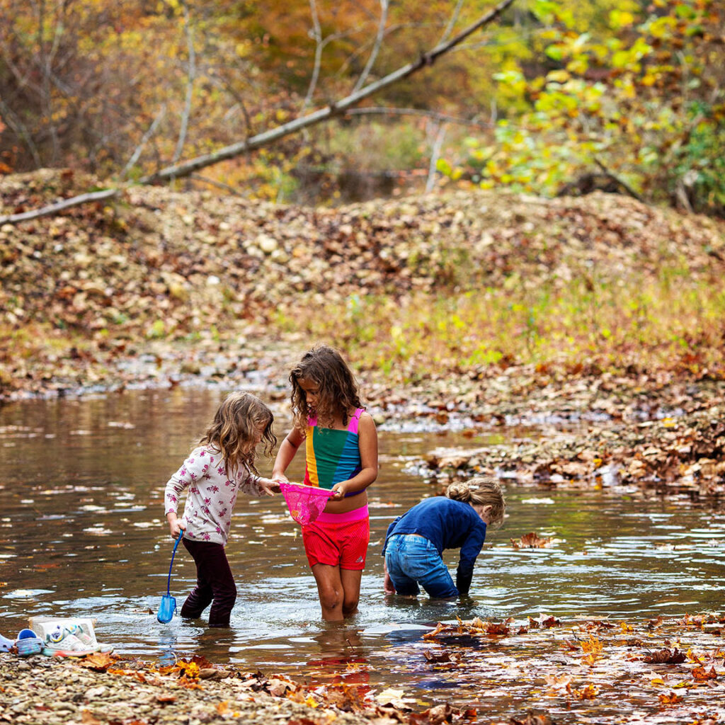 487441825_1471246544013269_6775995002893291055_n