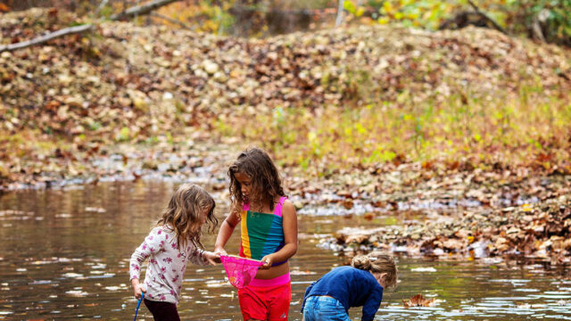 487441825_1471246544013269_6775995002893291055_n