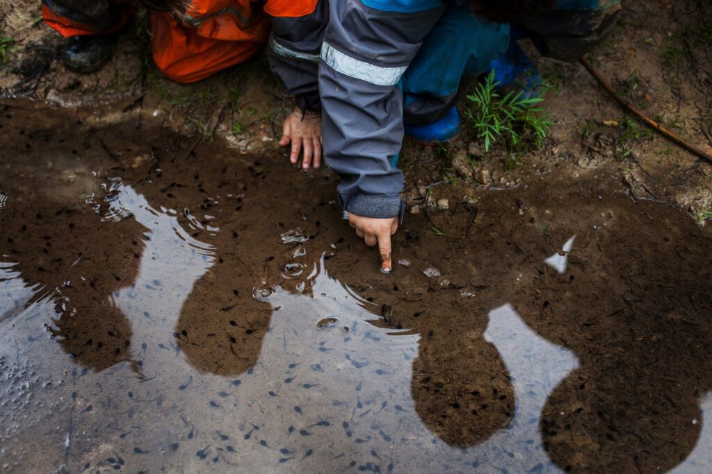 487453846_1475551506916106_837246903807040810_n