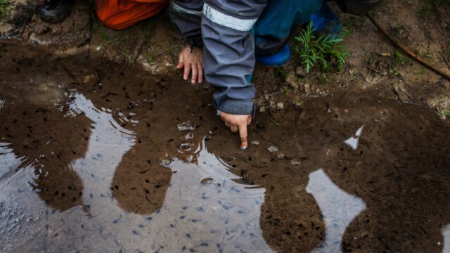 487453846_1475551506916106_837246903807040810_n